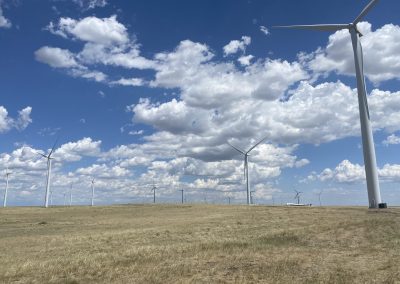 A grassy plain with multiple wind turbines scattered across the landscape under a blue sky filled with white, fluffy clouds.