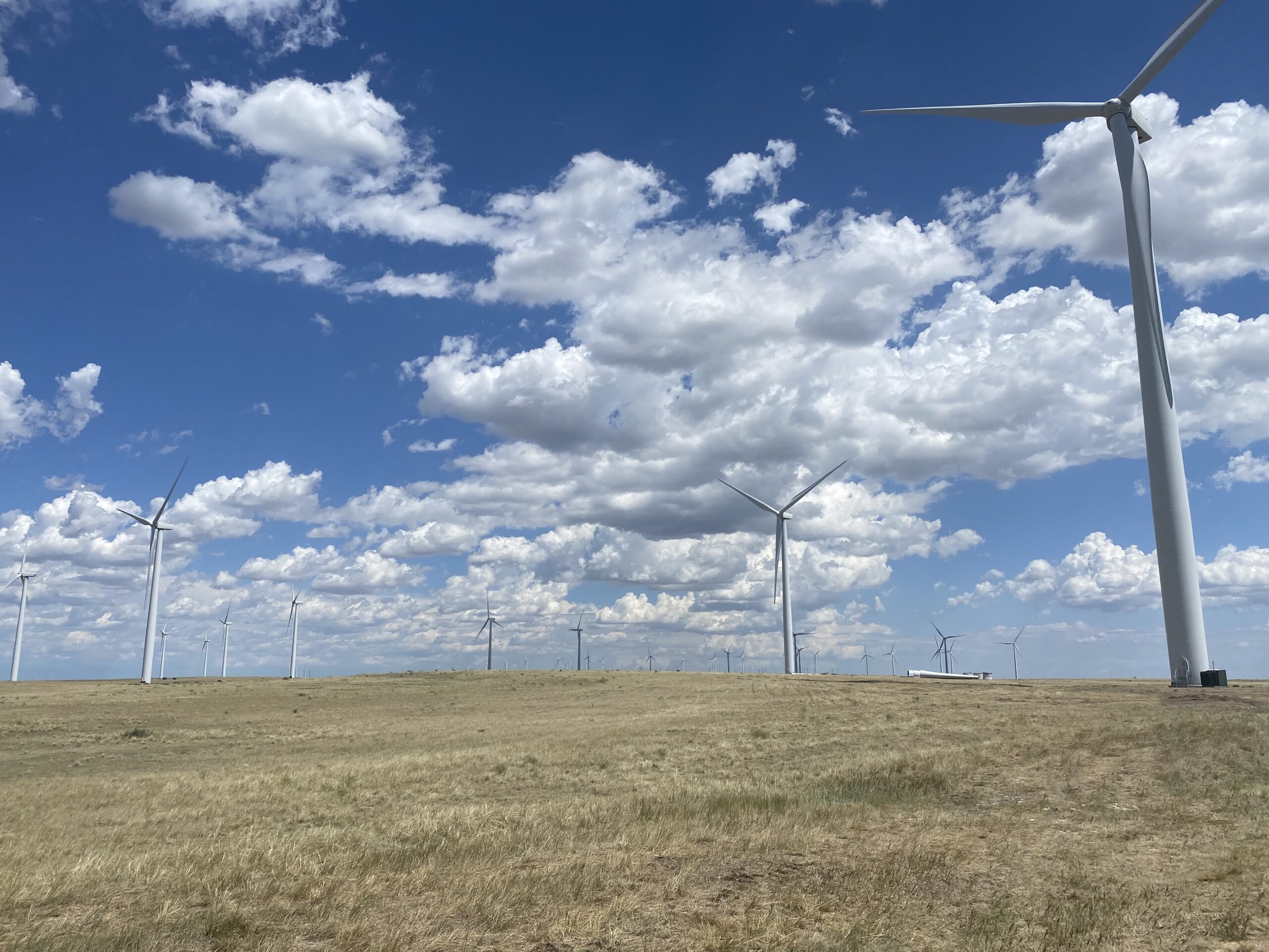 IMG-4606 A grassy plain with multiple wind turbines scattered across the landscape under a blue sky filled with white, fluffy clouds.