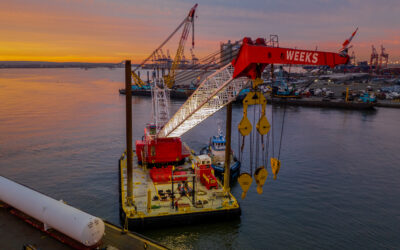 When Your Components Are Stuck at Port: A Logistics Playbook for BESS Projects in the Tariff Era